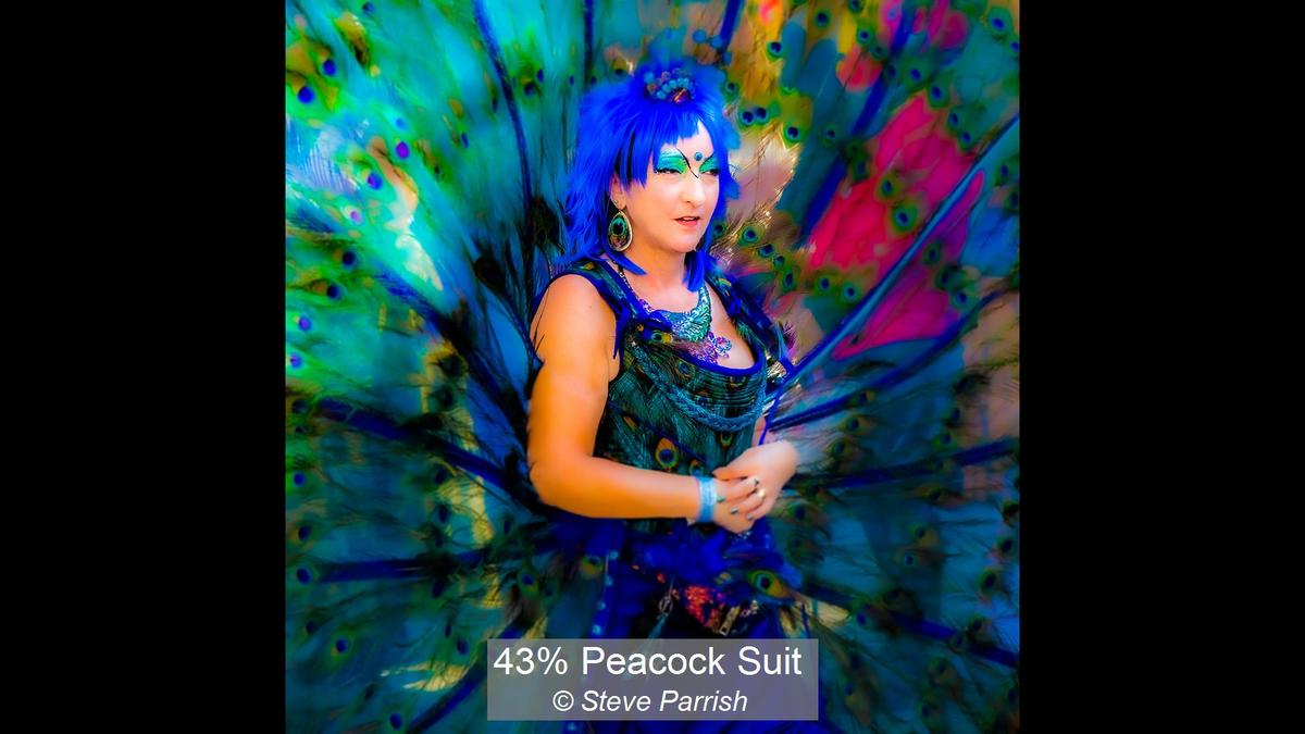 00_43% Peacock Suit_Steve Parrish